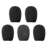 10C Microphone Sponges (5pcs)